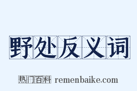 野处反义词是什么意思的图片